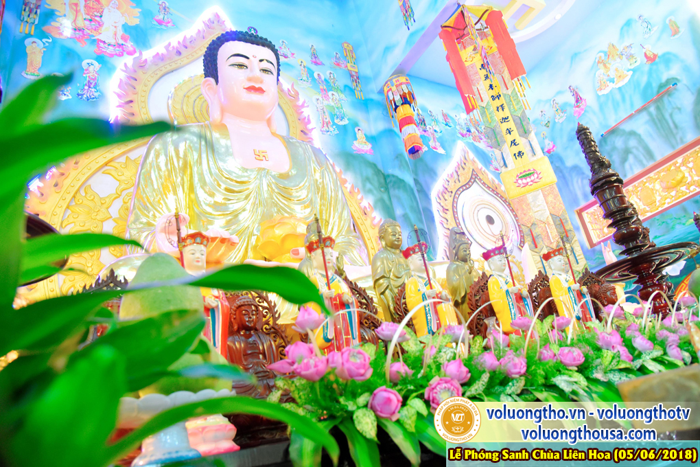 to-chuc-phong-sanh-tai-chua-lien-hoa-bac-lieu-ngay-3-6-2018-chua-quan-the-am-duc-trong-lam-dong-51.jpg