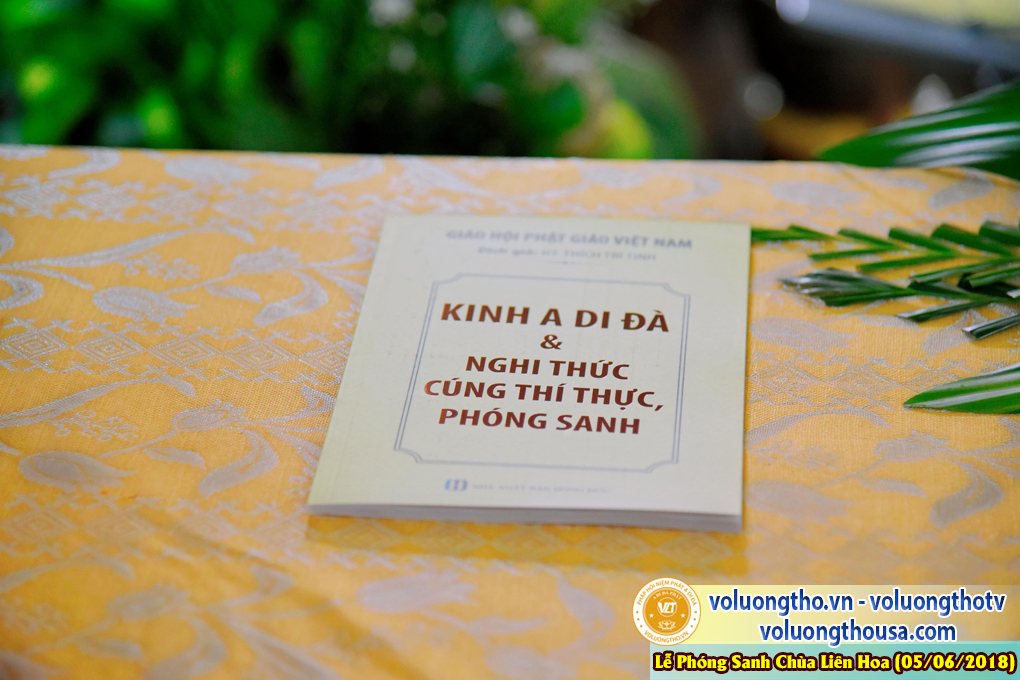 to-chuc-phong-sanh-tai-chua-lien-hoa-bac-lieu-ngay-3-6-2018-chua-quan-the-am-duc-trong-lam-dong-56.jpg