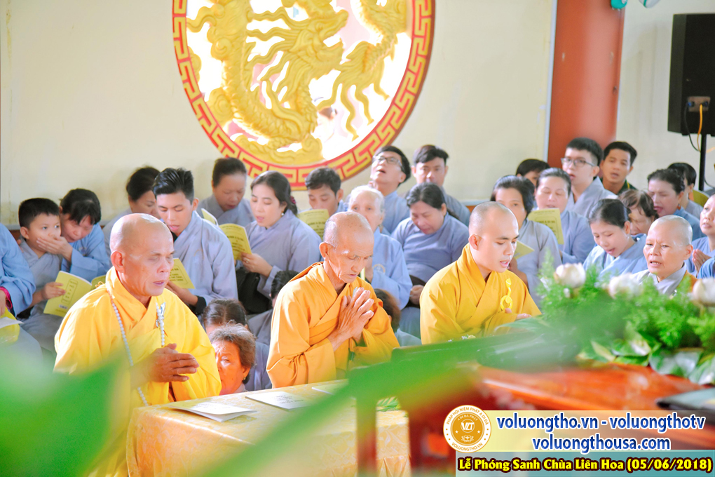 to-chuc-phong-sanh-tai-chua-lien-hoa-bac-lieu-ngay-3-6-2018-chua-quan-the-am-duc-trong-lam-dong-59.jpg
