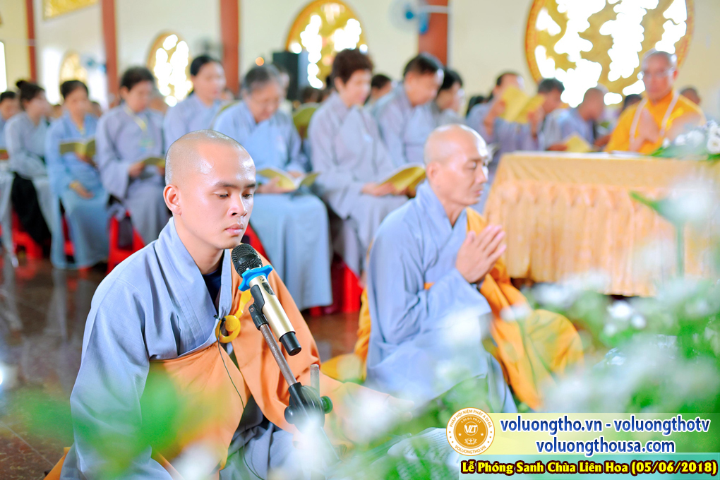 to-chuc-phong-sanh-tai-chua-lien-hoa-bac-lieu-ngay-3-6-2018-chua-quan-the-am-duc-trong-lam-dong-63.jpg