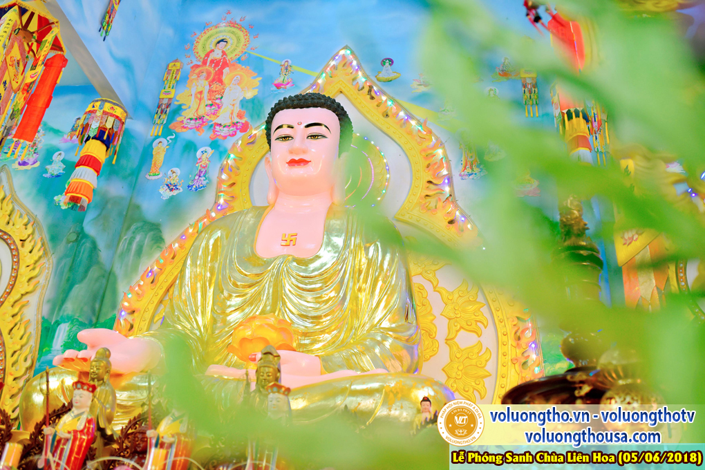 to-chuc-phong-sanh-tai-chua-lien-hoa-bac-lieu-ngay-3-6-2018-chua-quan-the-am-duc-trong-lam-dong-67.jpg