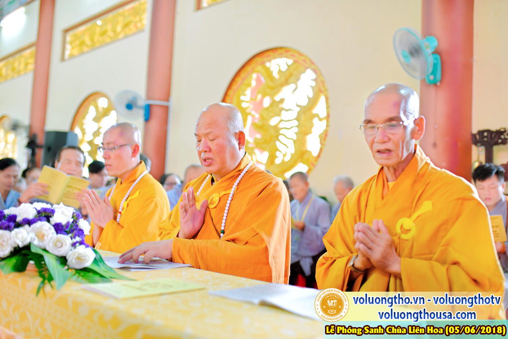 to-chuc-phong-sanh-tai-chua-lien-hoa-bac-lieu-ngay-3-6-2018-chua-quan-the-am-duc-trong-lam-dong-69.jpg