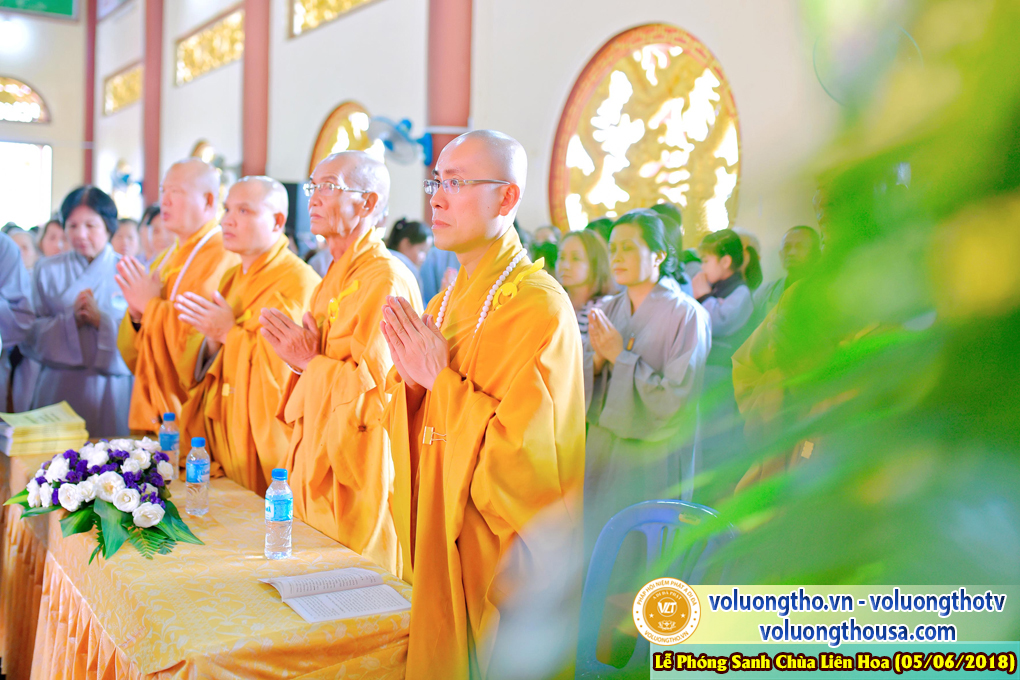 to-chuc-phong-sanh-tai-chua-lien-hoa-bac-lieu-ngay-3-6-2018-chua-quan-the-am-duc-trong-lam-dong-78.jpg