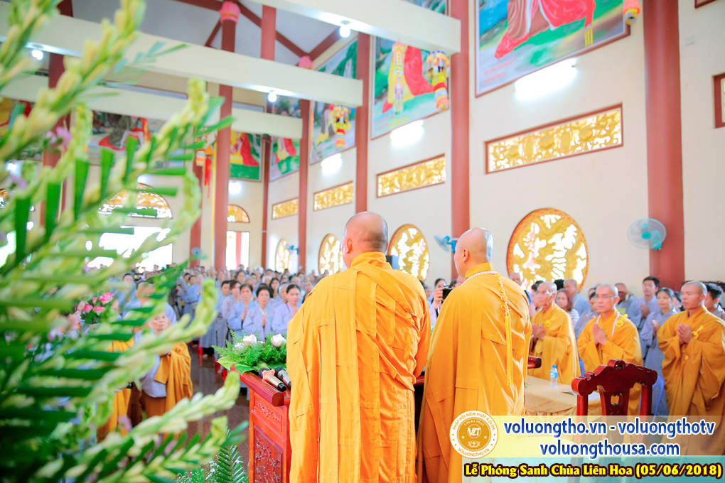 to-chuc-phong-sanh-tai-chua-lien-hoa-bac-lieu-ngay-3-6-2018-chua-quan-the-am-duc-trong-lam-dong-91.jpg