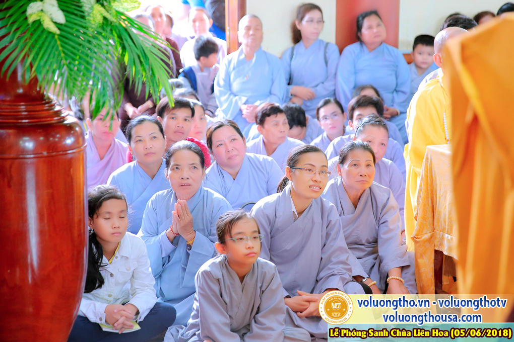 to-chuc-phong-sanh-tai-chua-lien-hoa-bac-lieu-ngay-3-6-2018-chua-quan-the-am-duc-trong-lam-dong-93.jpg
