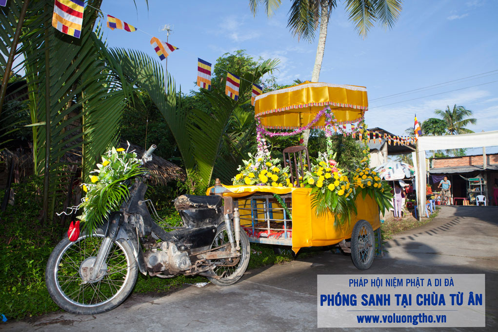 to-chuc-phong-sanh-tai-chua-tu-an-tien-giang-chua-quan-the-am-duc-trong-lam-dong-14.jpg