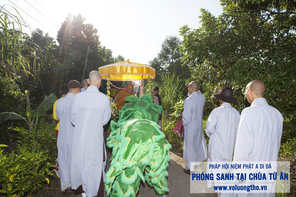 to-chuc-phong-sanh-tai-chua-tu-an-tien-giang-chua-quan-the-am-duc-trong-lam-dong-4.jpg