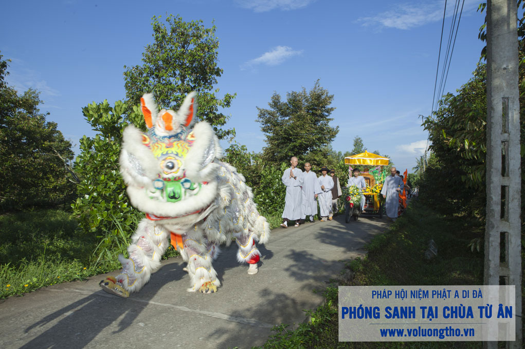 to-chuc-phong-sanh-tai-chua-tu-an-tien-giang-chua-quan-the-am-duc-trong-lam-dong-6.jpg