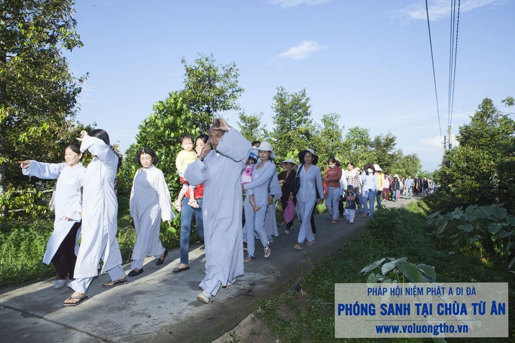 to-chuc-phong-sanh-tai-chua-tu-an-tien-giang-chua-quan-the-am-duc-trong-lam-dong-9.jpg