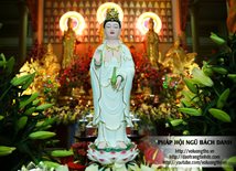via-quan-am-ngay-19-02-giap-ngo-tai-chua-dai-tong-lam-brvt-chua-quan-the-am-duc-trong-lam-dong-22.jpg