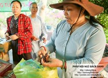 via-quan-am-ngay-19-02-giap-ngo-tai-chua-dai-tong-lam-brvt-chua-quan-the-am-duc-trong-lam-dong-49.jpg